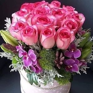 Meet your Posher, Marie